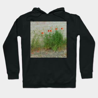 poppy Hoodie